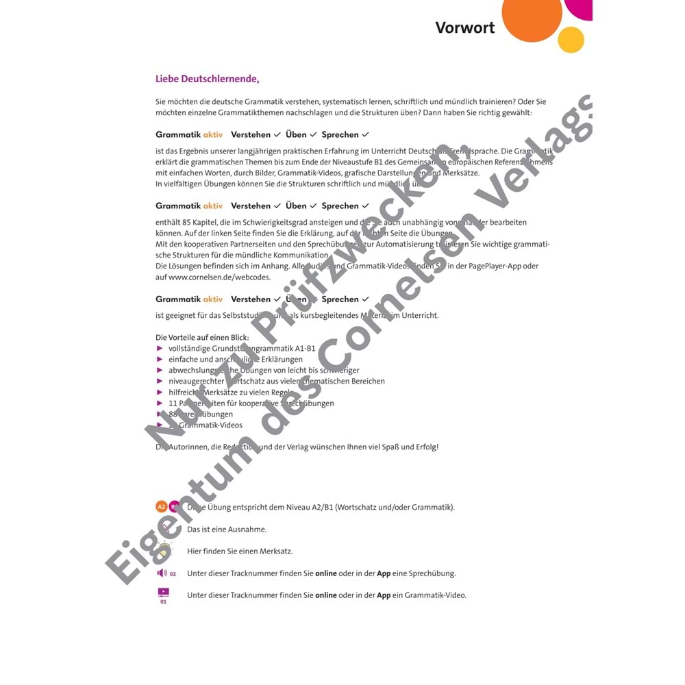 Grammatik Aktiv A1/B1