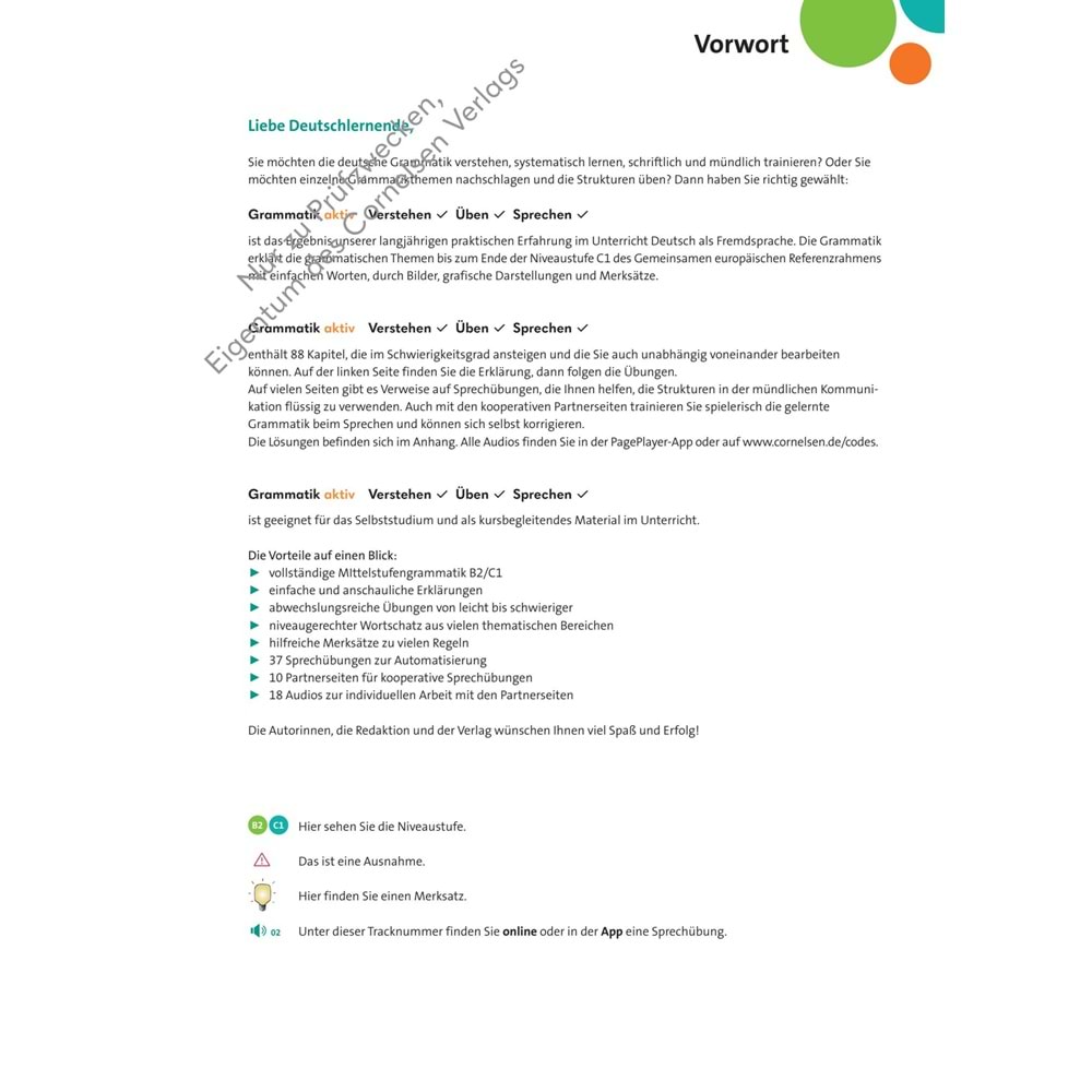 Grammatik aktiv B2/C1 Übungsgrammatik