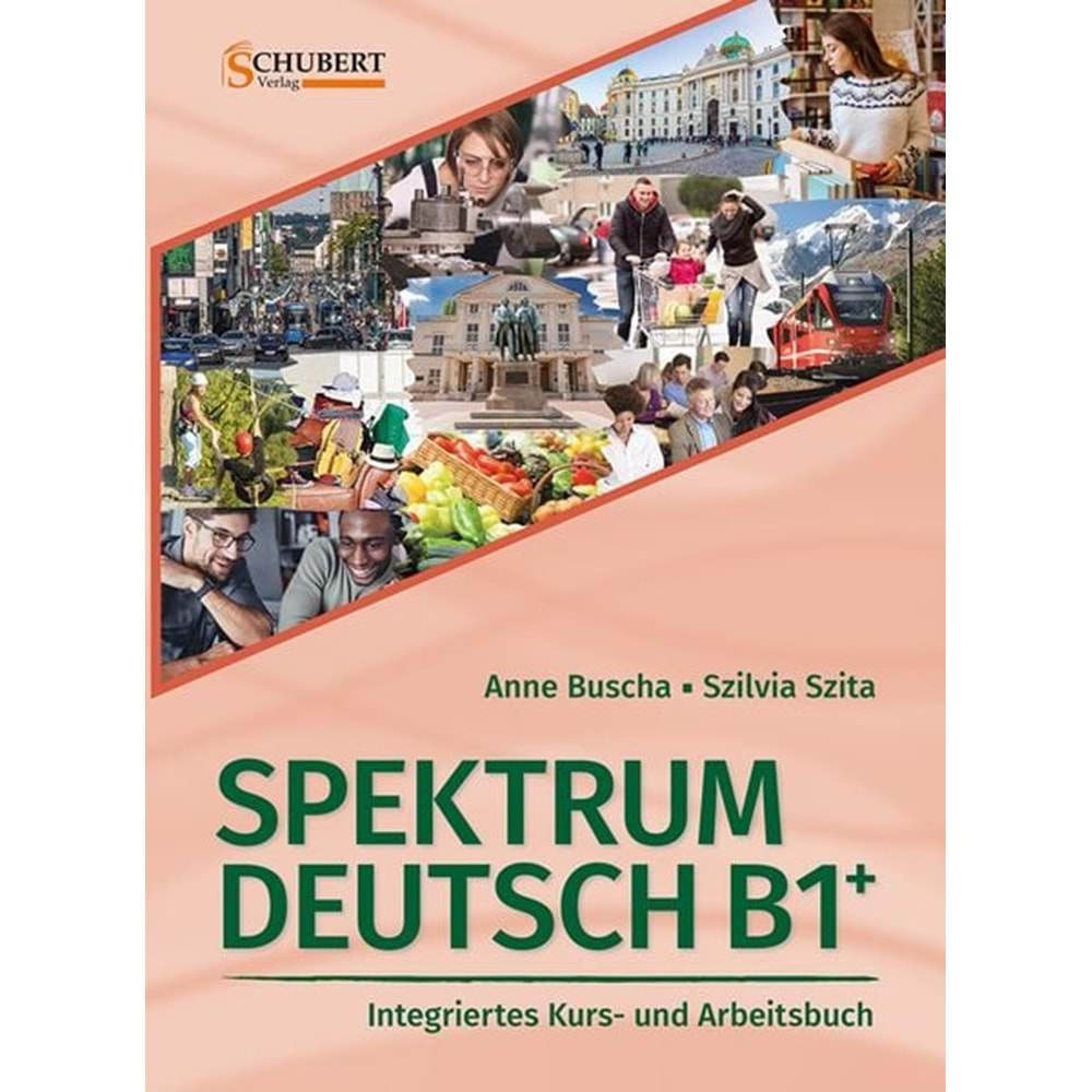 SPEKTRUM DEUTSCH B1 GESAMTBAND + LMS BLINKLEARNING