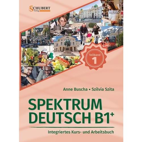 SPEKTRUM DEUTSCH B1.1 (Teilband 1) + LMS BLINKLEARNING